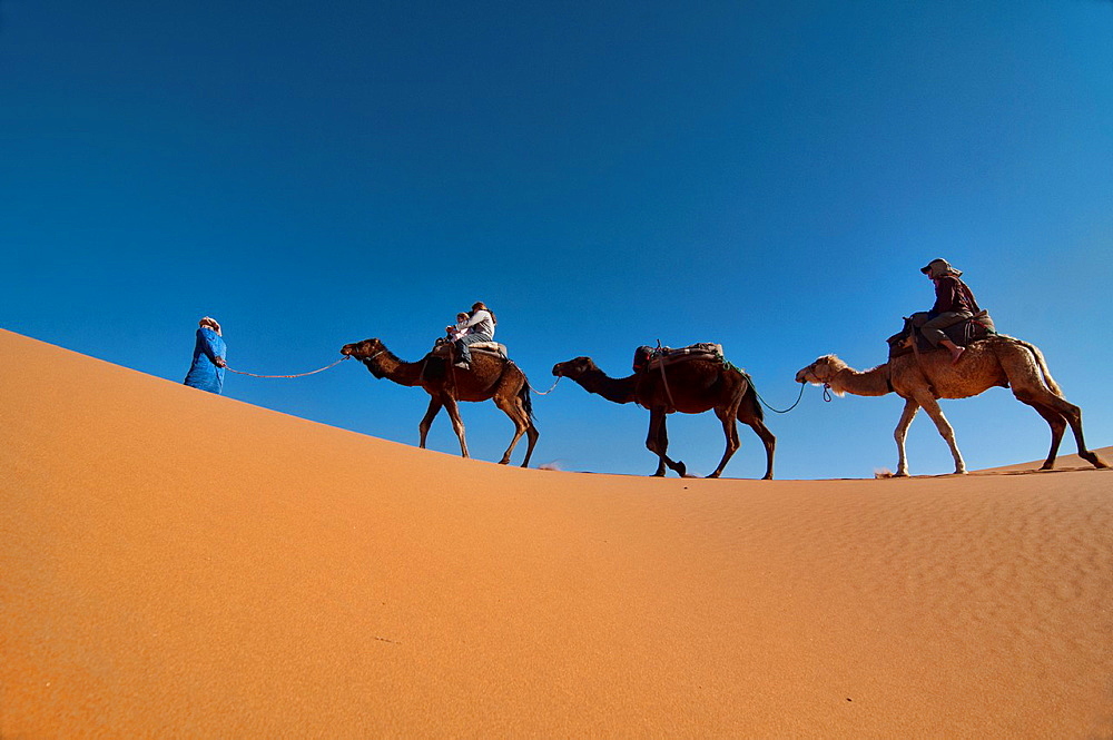 Ships of the desert